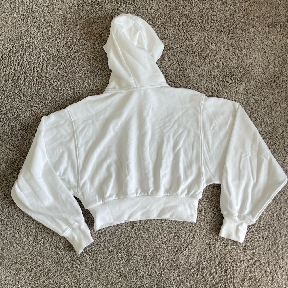 TNA Aritzia Cropped Oversized Hoodie - Picture 5 of 5